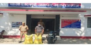 #kulhad #urea #maharajganj #news #nichlaul 