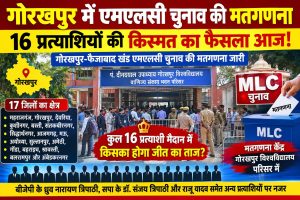 #election #Gorakhpur #Maharajganj #Mleelection 